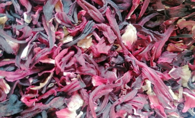 Déguster infusions hibiscus bio dans un salon de thé au Fayet